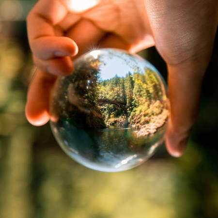 A man holding a sphere showing the earth and the environment, with some greenery in the blurred background too.