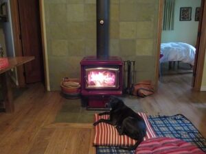 a wood stove in a tiny house with my dog infront of it.