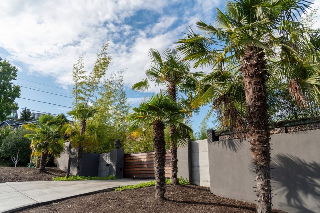 What-is-a-gated-community-a-gated-door-with-concrete-walls-with-palm-trees