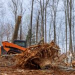 Clearing land to build a house – Top tools needed to clearing your plot