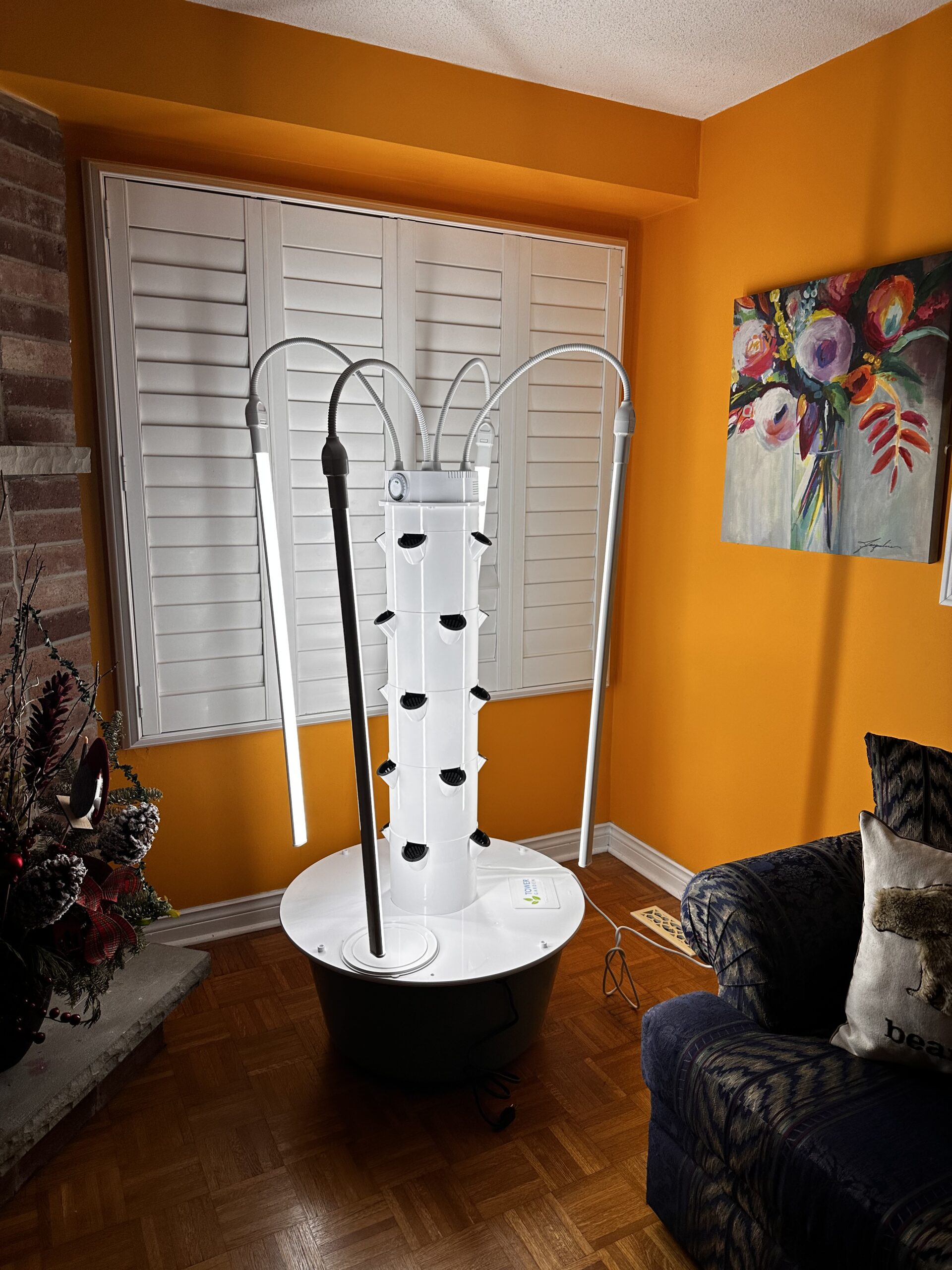 Read more about the article Tower Garden Review : In-depth look at Tower Gardens