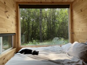 cabin-in-the-woods-window